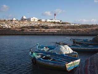 杨小姐出口到乌干达海运和埃及海运